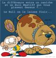 La lacheté