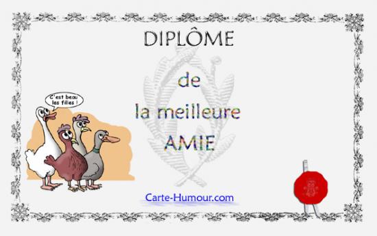 Diplôme:AMIE