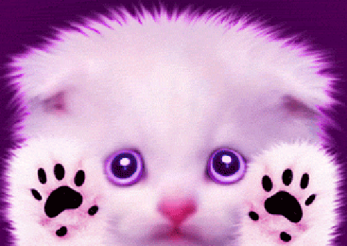 Cadeau N°1