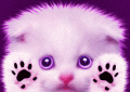 Cadeau N°1