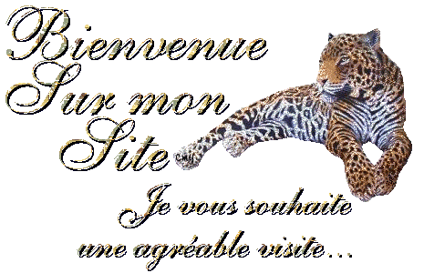 Bienvenue