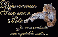 Bienvenue