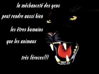 La méchanceté