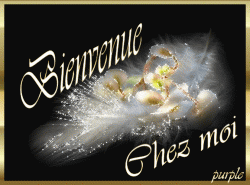 bienvenue-9.gif