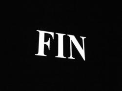 fin-1.jpg