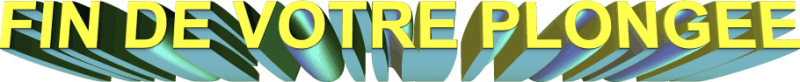 fin-plongee.png