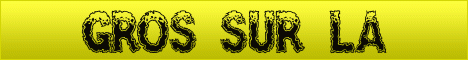 gros-patate.gif
