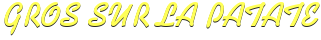 gros-sur-la-patate-7.png