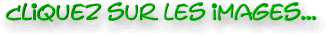 images.png