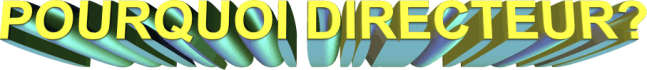 pourquoi-directeur-1.png