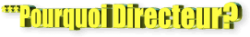 pourquoi-directeur-2.png