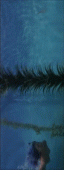 sirene-4.gif