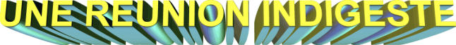 une-reunion-indigeste.png